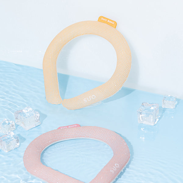SUO ICE RING 恐竜柄